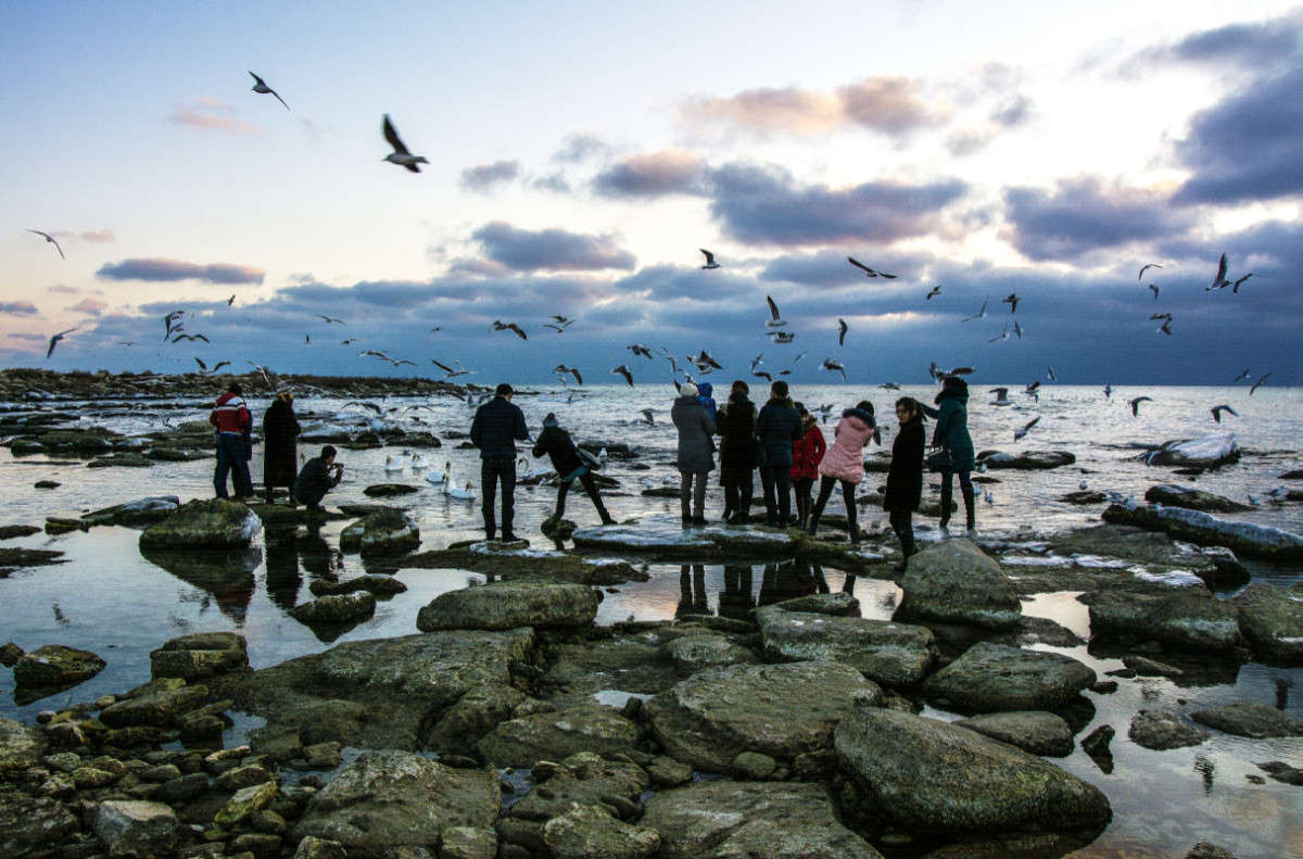 ������. ����� ����� ������ �� PhotoGeek.ru #������ ��� �������