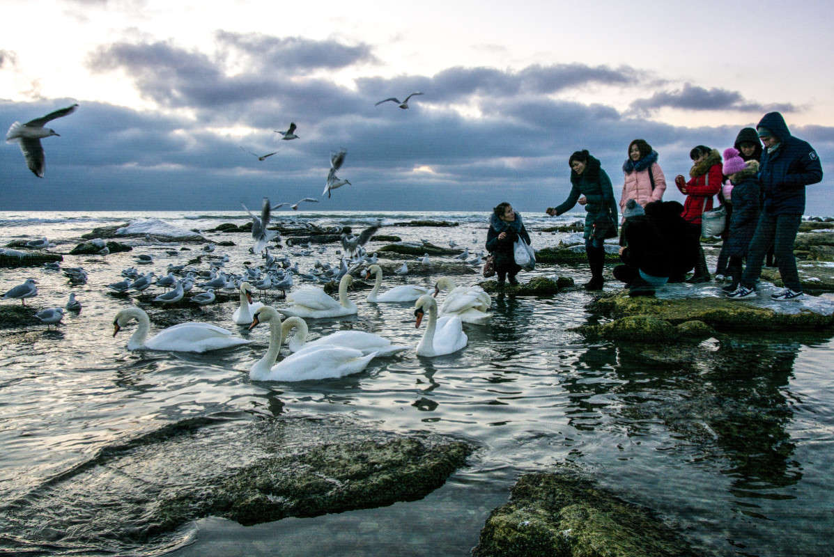 ������. ����� ����� ������ �� PhotoGeek.ru #������ ��� �������