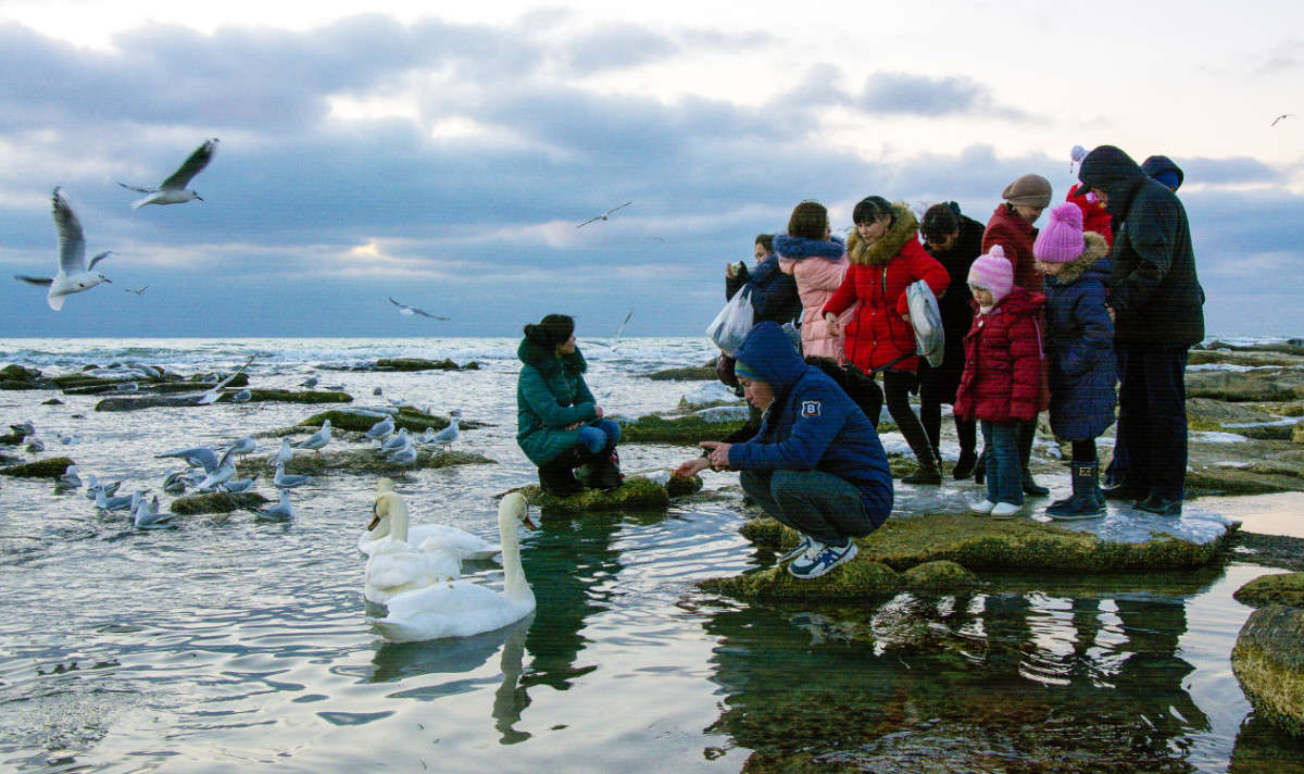 ������. ����� ����� ������ �� PhotoGeek.ru #������ ��� �������