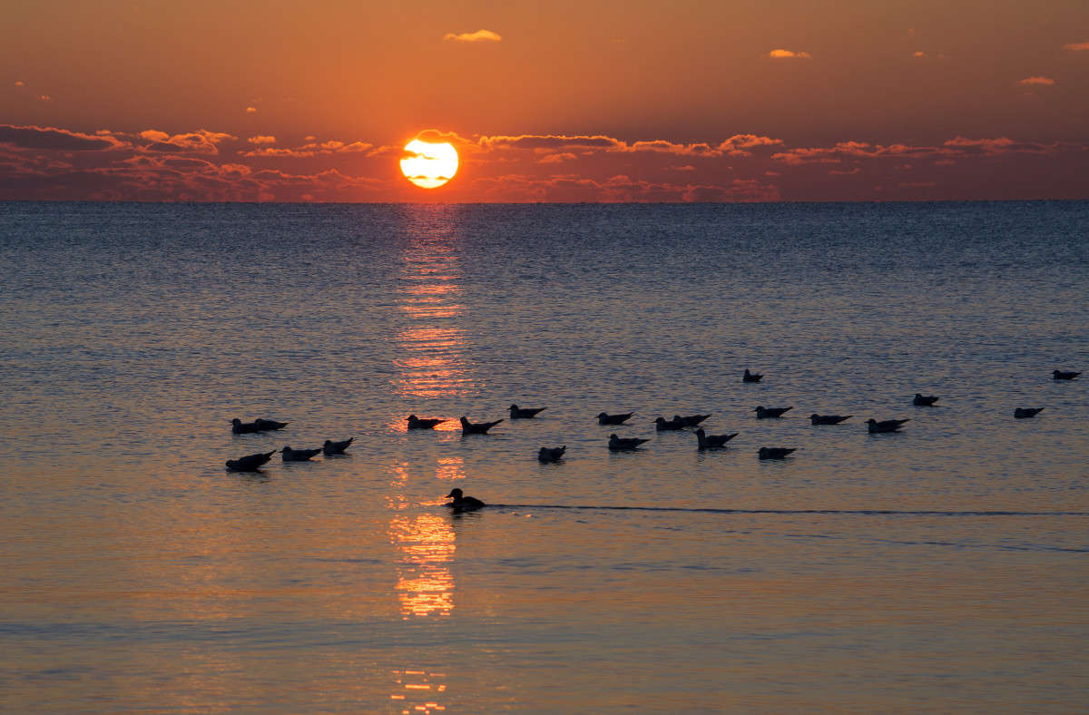 ��� �� �����! ����� ����� ������ �� PhotoGeek.ru #������ ��� �������