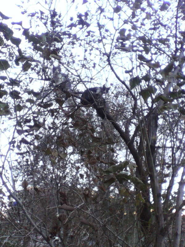 ������� ����� �� ����? ����� ����� ���� �� PhotoGeek.ru #�������� ���