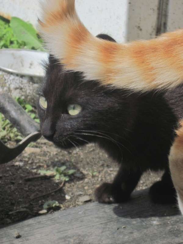 ... ����� ����� ���� �� PhotoGeek.ru #�������� ��� #�������� ���