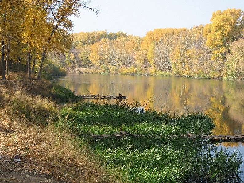 ����� �� ����� ����� ����� ���� �� PhotoGeek.ru #������ ��� �������