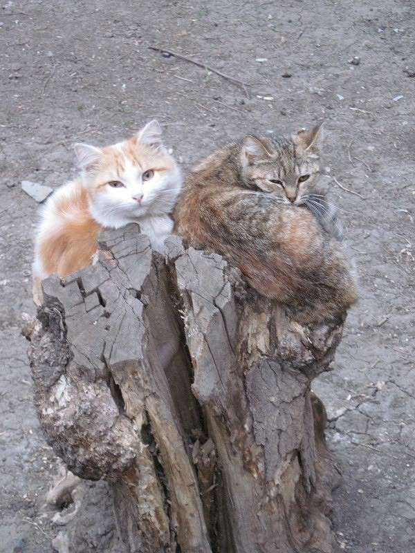 �����... ����� ����� ���� �� PhotoGeek.ru #�������� ���