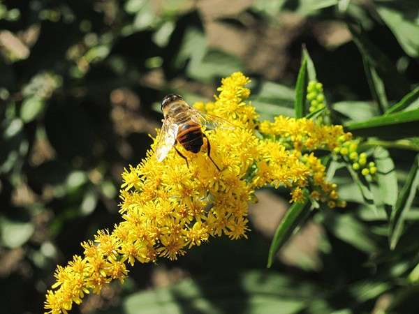 ����� ����� ����� ���� �� PhotoGeek.ru #�����