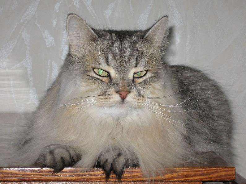 ��� ������ ����� ����� ���� �� PhotoGeek.ru #�������� ���