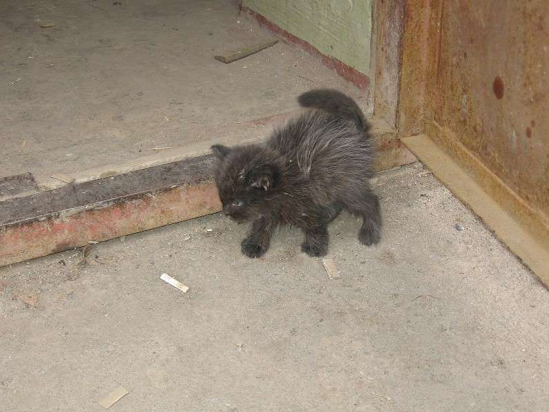 ������� ������ ���� ����� ����� ���� �� PhotoGeek.ru #�������� ���