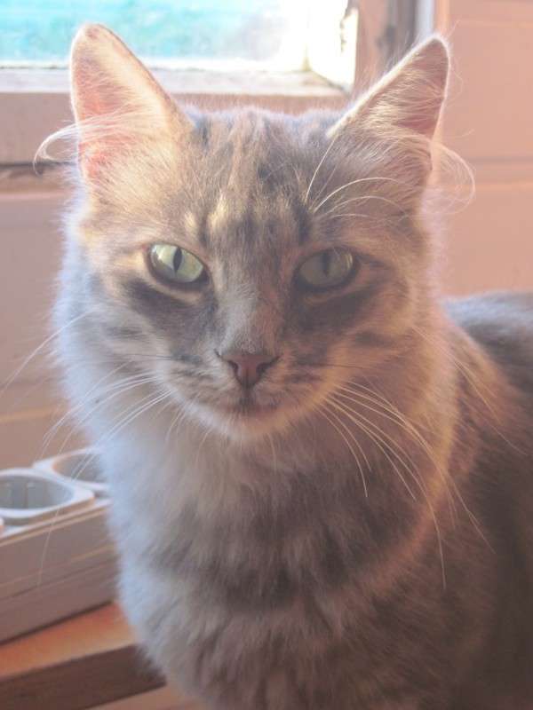 �������� ����� ����� ���� �� PhotoGeek.ru #�������� ��� #������� #�������� ���