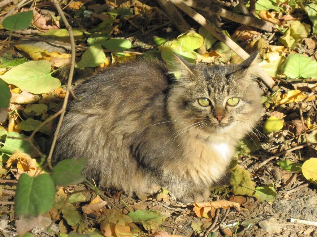 ������� ����� ����� ����� ���� �� PhotoGeek.ru #�������� ��� #�������