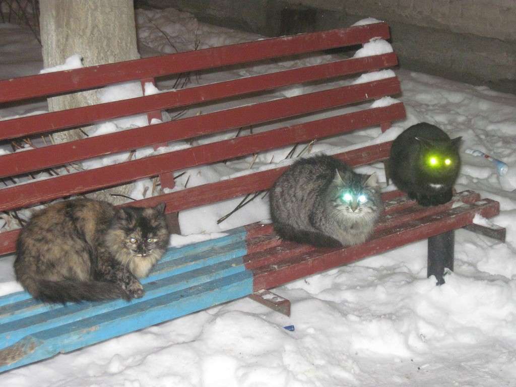 ������ ����� ����� ����� ���� �� PhotoGeek.ru #�������� ��� #�������� ���