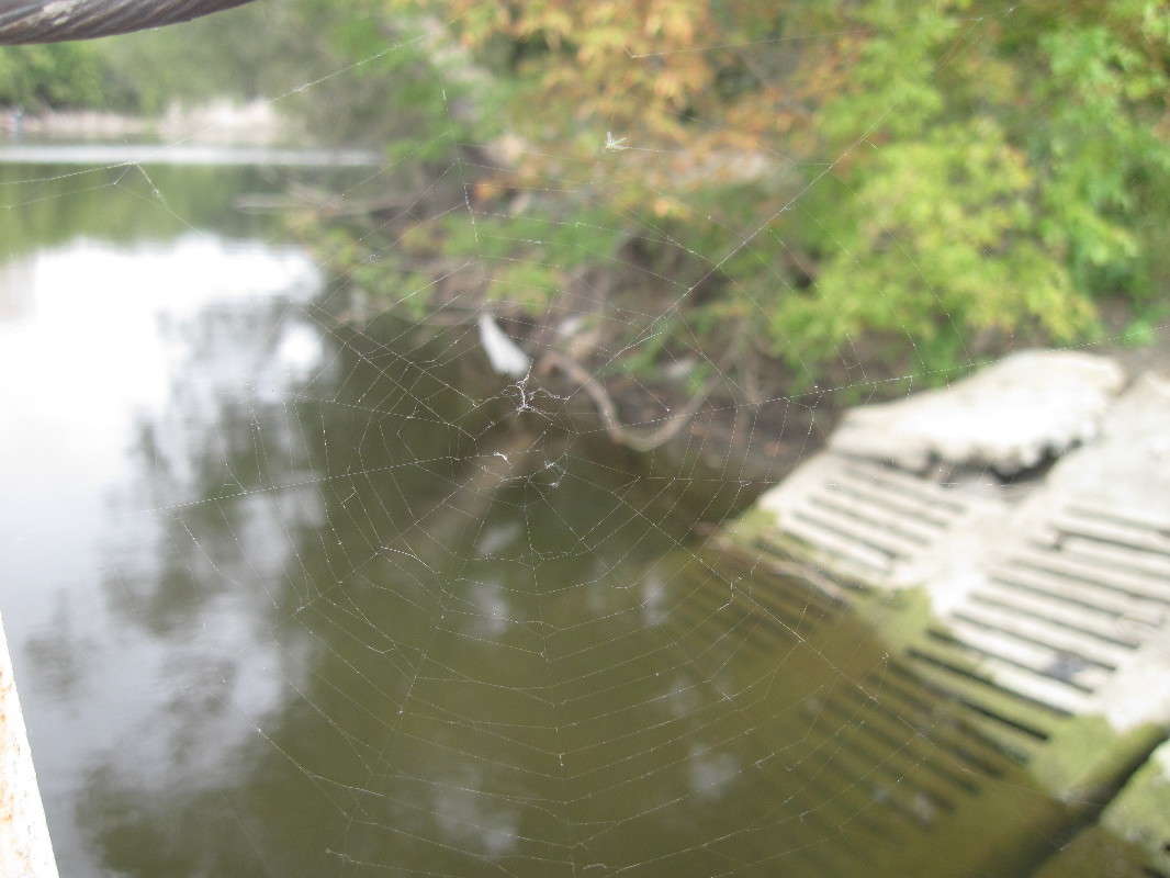 �������� ����� ����� ���� �� PhotoGeek.ru #����� #������ ��� �������