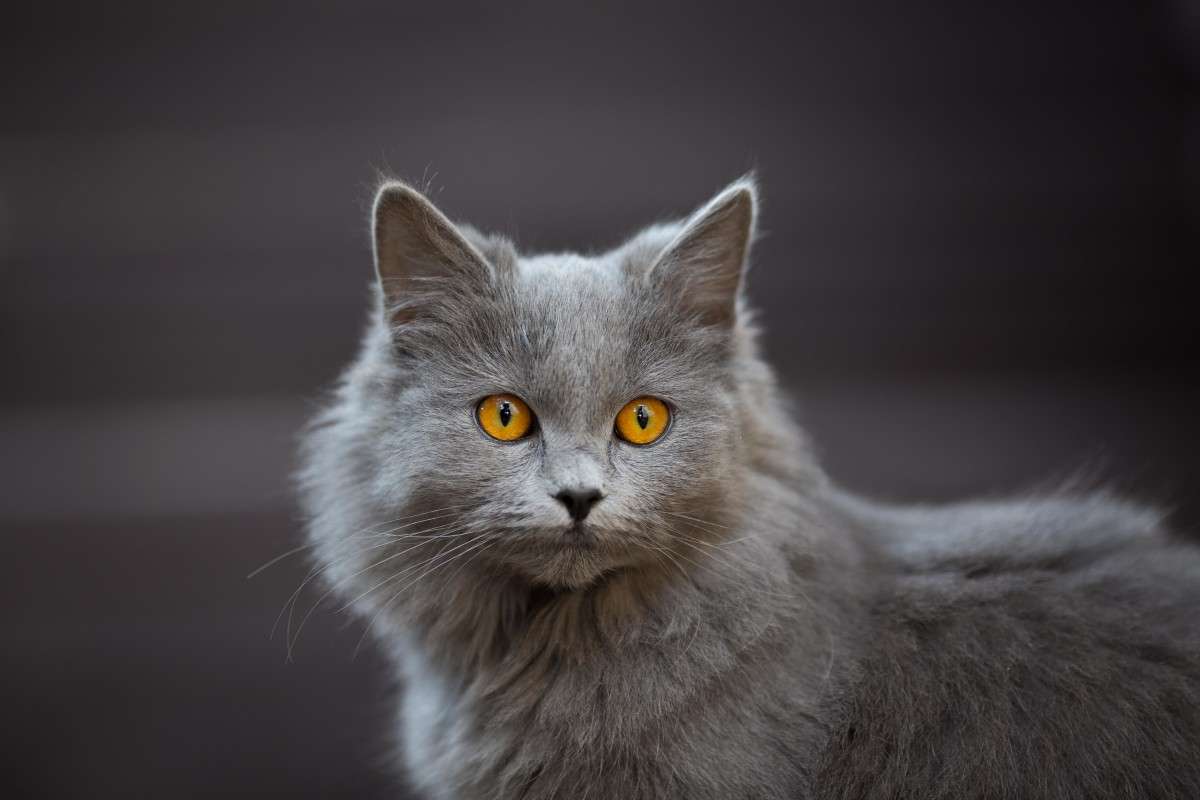 ���� ����� ������ ������ �� PhotoGeek.ru #�������� ���