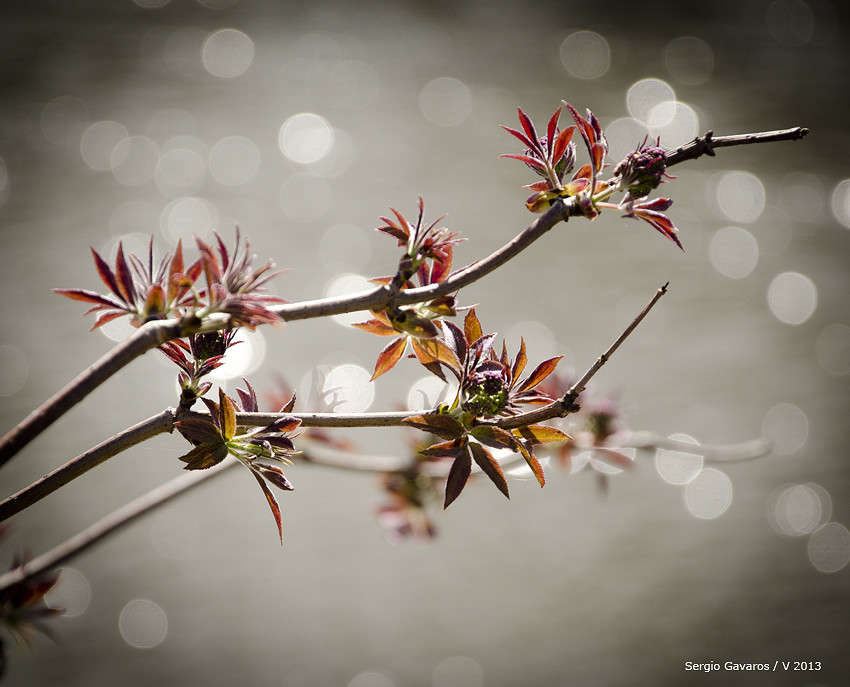 ����� ����� ������ ������� �� PhotoGeek.ru #������ ��� �������