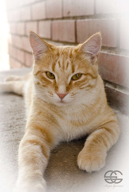 ���� ����� ������ ������� �� PhotoGeek.ru #�������� ���