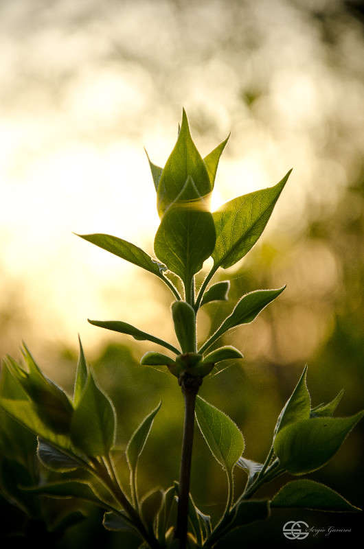 ������� ����� ������ ������� �� PhotoGeek.ru #������ ��� �������