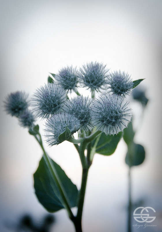 �������� ����� ������ ������� �� PhotoGeek.ru #����� #��������� #����� ��������������