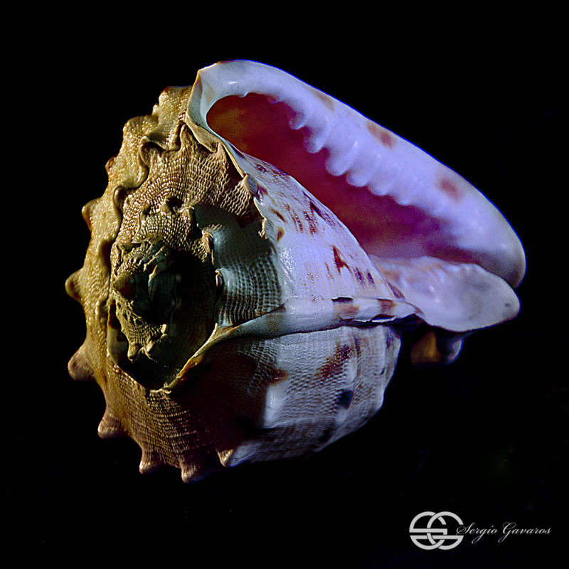 ������� ������ ����� ������ ������� �� PhotoGeek.ru #��������� #�������� ���