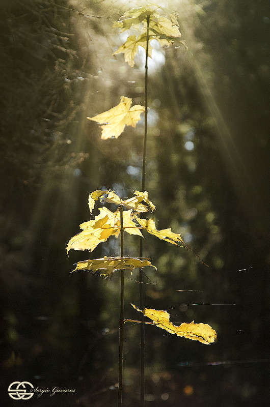 ������� ����� (�����) ����� ������ ������� �� PhotoGeek.ru #������ ��� ������� #����� �������������� #���������