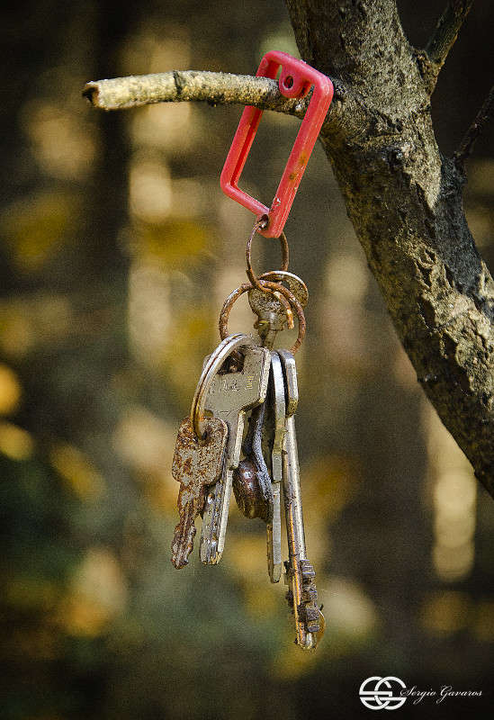 ��������� ����� ������ ������� �� PhotoGeek.ru #�������� ����������