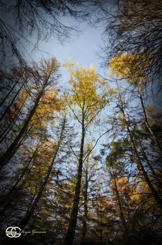 ������� ����� (�����) ����� ������ ������� �� PhotoGeek.ru #������ ��� ������� #����� �������������� #���������