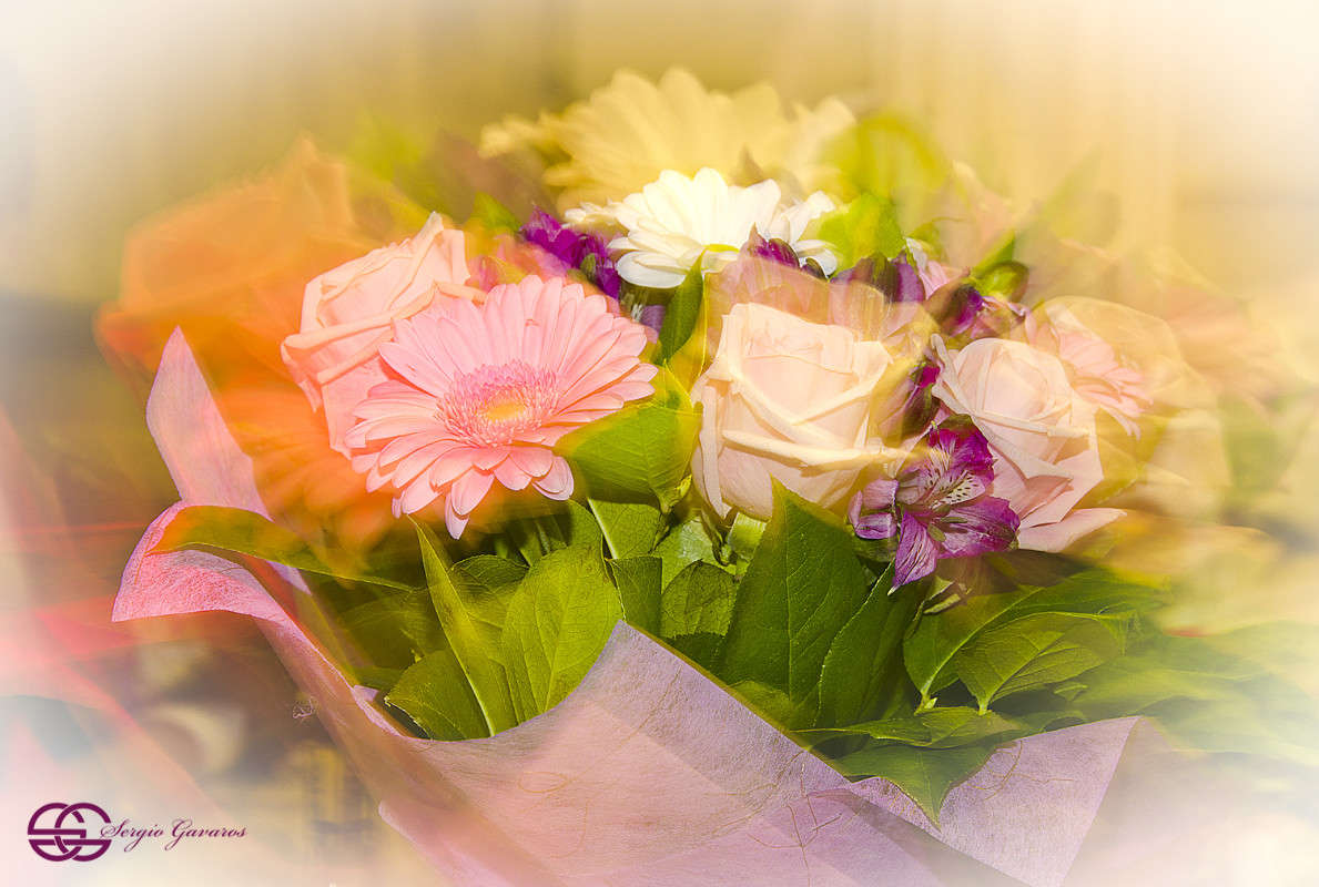 ����� ����� ������ ������� �� PhotoGeek.ru #��������� #���-����������� #���������������