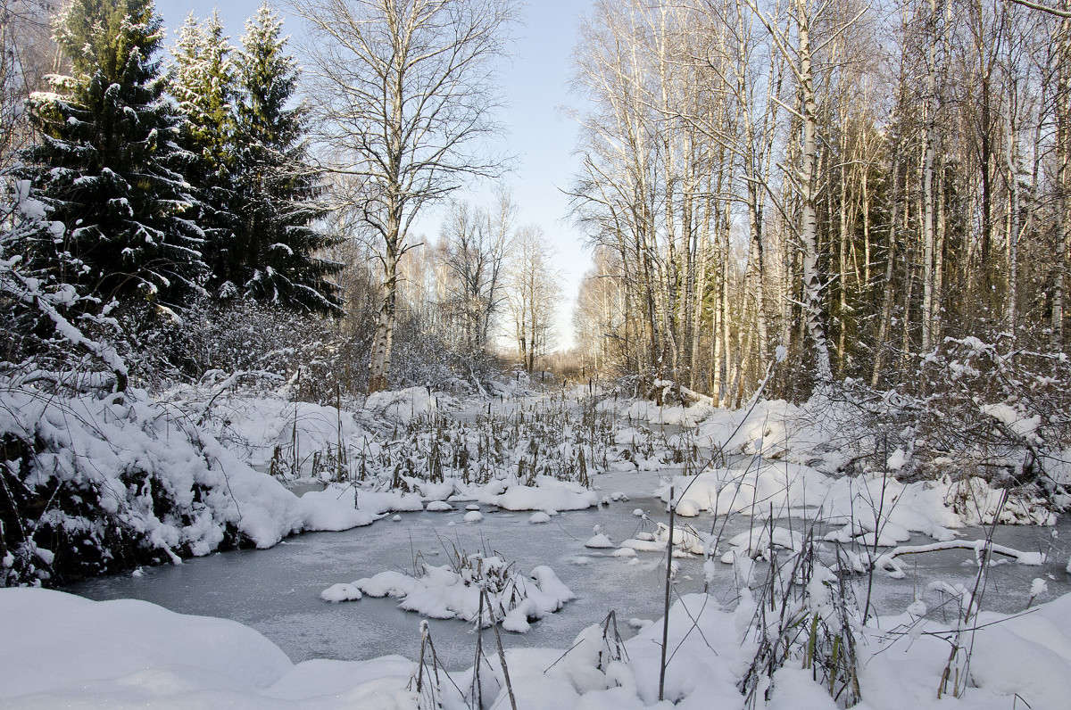 ����� ����� ������ ������� �� PhotoGeek.ru #������ ��� �������