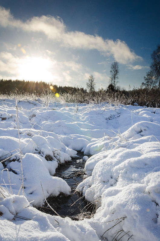 �������� ������ ����� ������ ������� �� PhotoGeek.ru #������ ��� �������