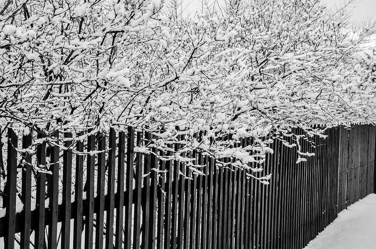 ���� � ���� ����� ������ ������� �� PhotoGeek.ru #������ ��� �������