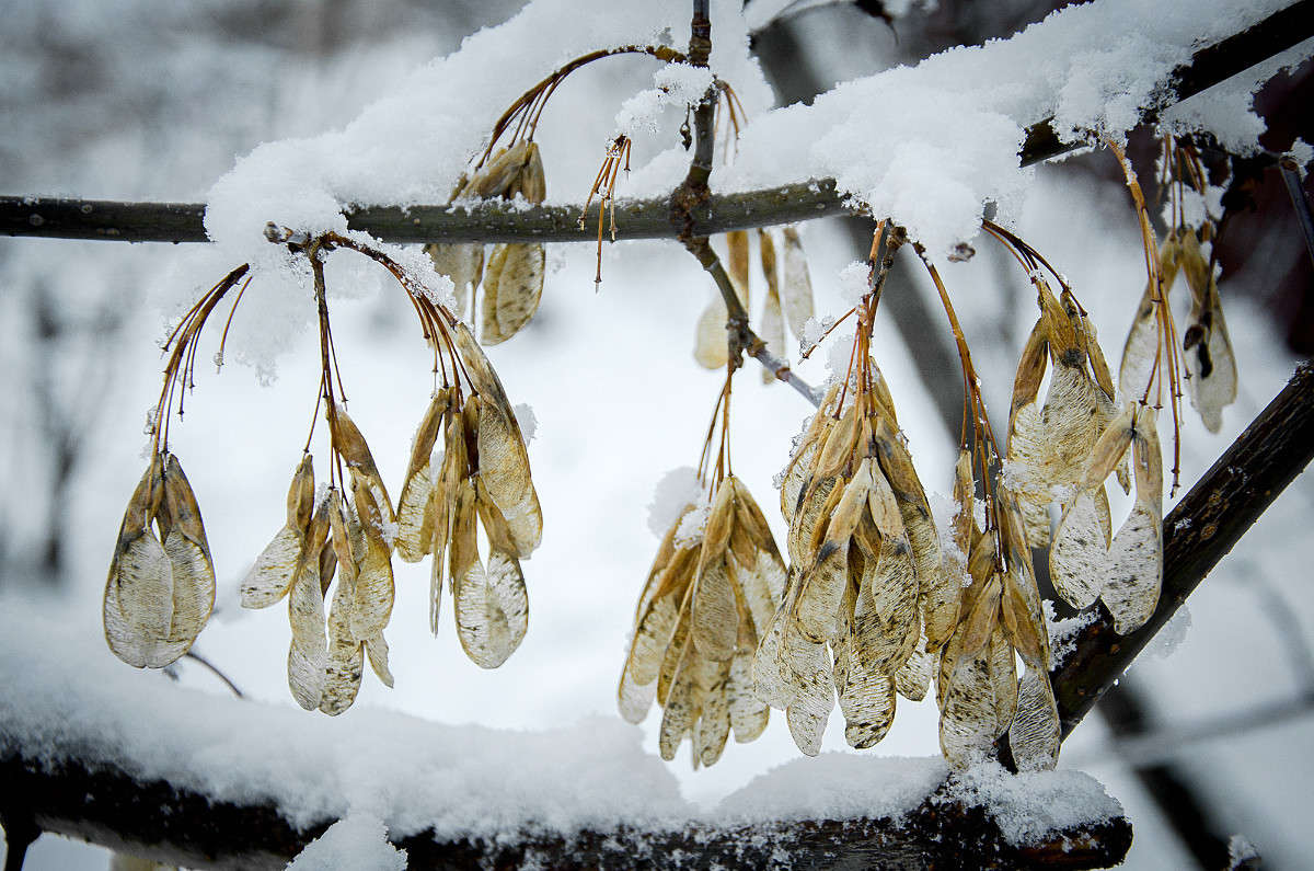 �� ����� ����� ������ ������� �� PhotoGeek.ru #��������� #������ ��� �������