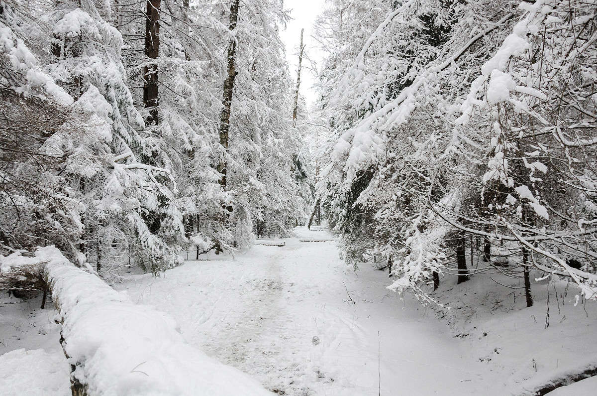 ������� ����� ������ ������� �� PhotoGeek.ru #������ ��� �������