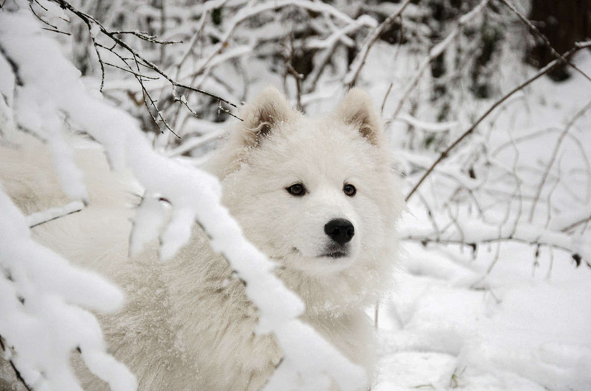 ����� (������) ����� ������ ������� �� PhotoGeek.ru #�������� ��� #�������