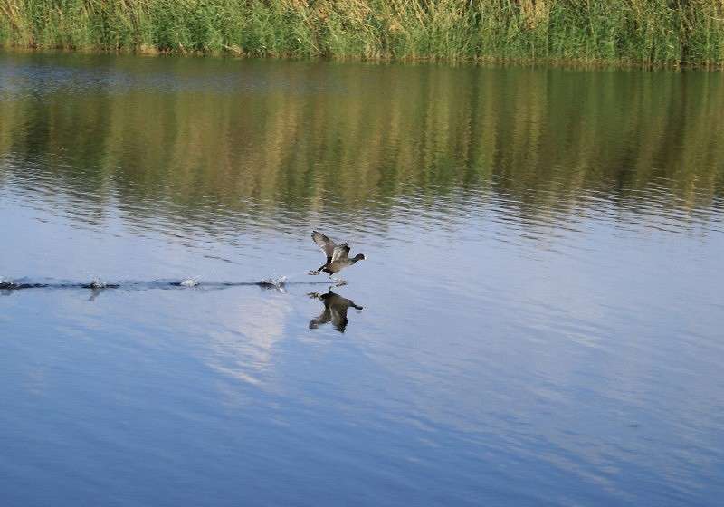 �� ���� ����� ��������  �� PhotoGeek.ru #�������� ���