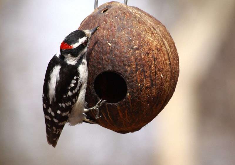 ... ����� ��������  �� PhotoGeek.ru #�������� ��� #������� #�����