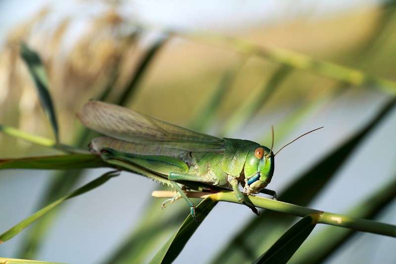 � ����� ����� ��������... ����� ��������  �� PhotoGeek.ru #����� #�������� ��� #���������