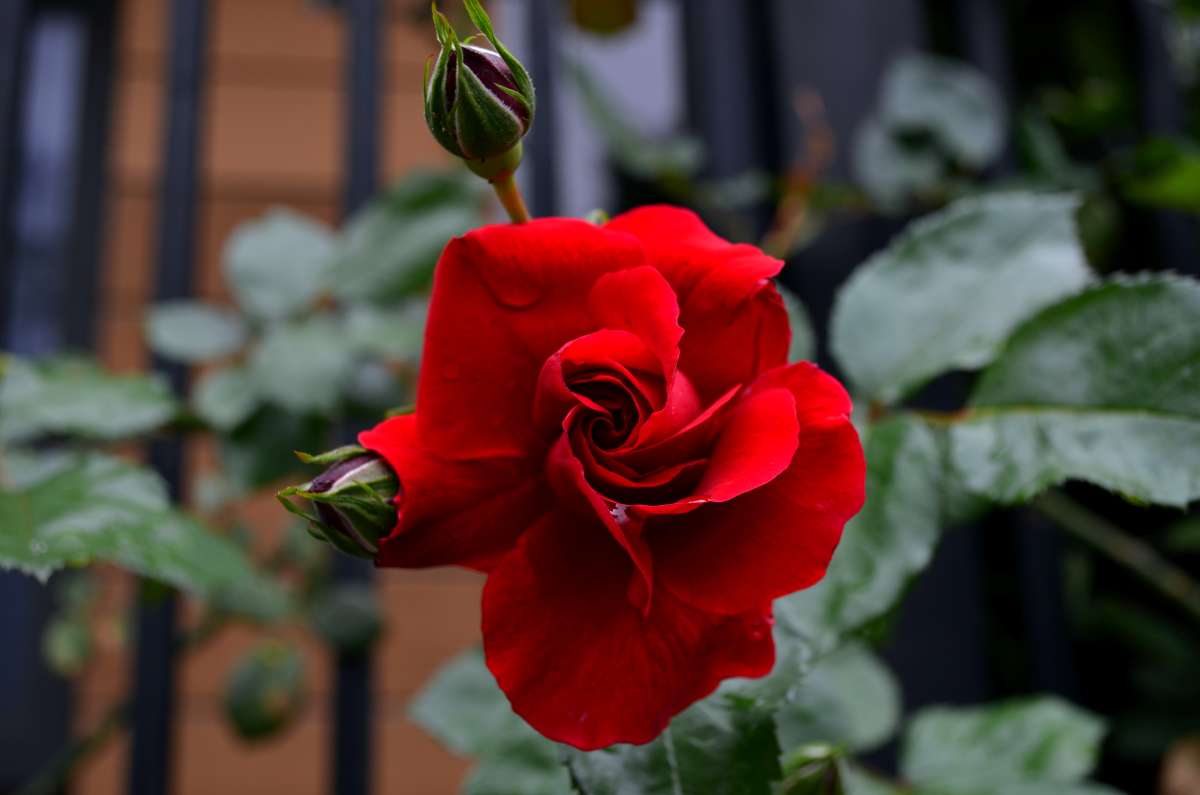 ������� ������� ����� ����� ������� �� PhotoGeek.ru #������ ��� �������