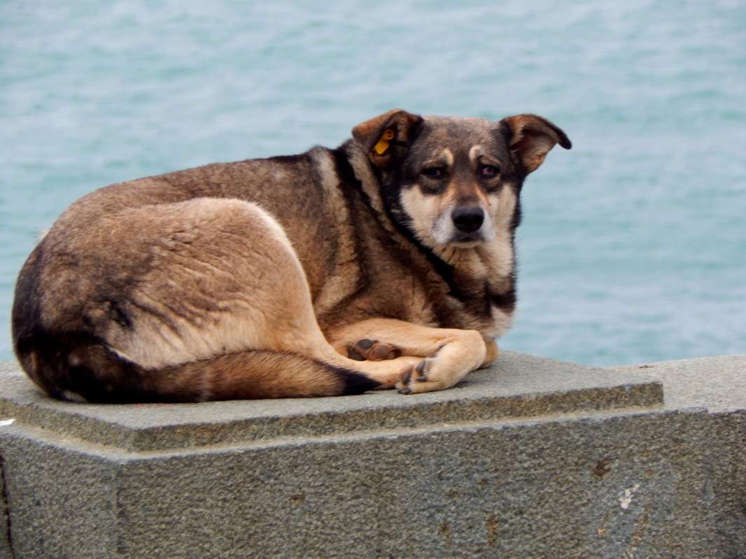 ������ ����� ����� ������� �� PhotoGeek.ru #�������� ���