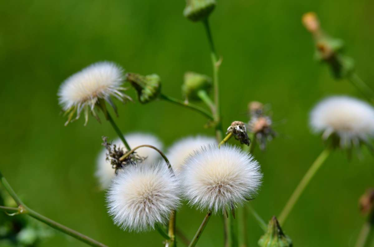 ��������� ����� ����� ������� �� PhotoGeek.ru #�����