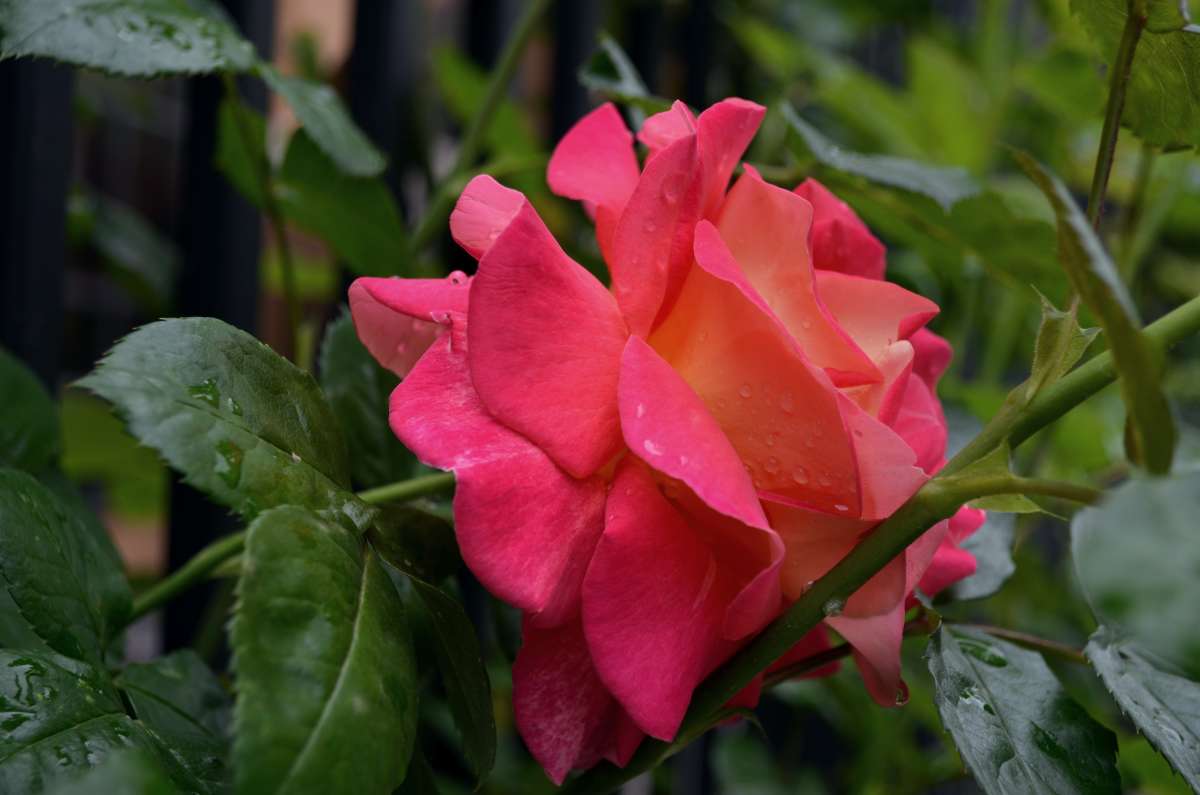 �������� ����� ����� ������� �� PhotoGeek.ru #������ ��� �������