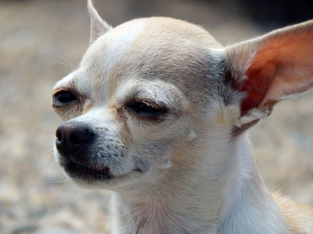 ���������� ���������� ����� ����� ������� �� PhotoGeek.ru #�������� ���