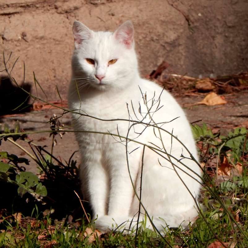 ������ ����� ����� ������� �� PhotoGeek.ru #�������� ���