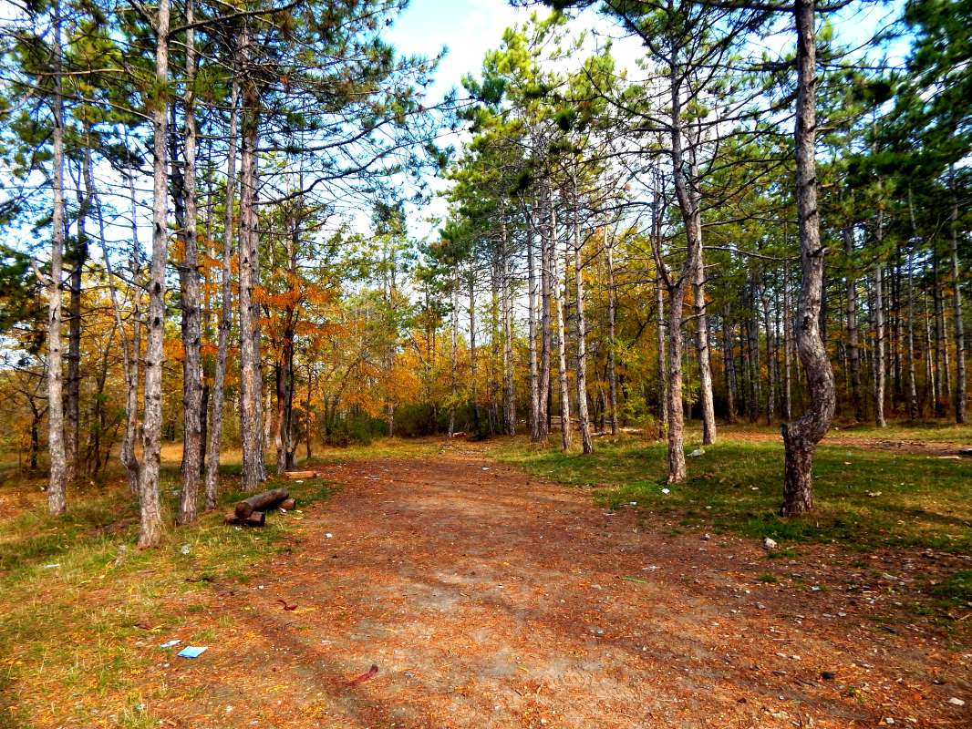 ������� ����� ����� ������� �� PhotoGeek.ru #������ ��� �������