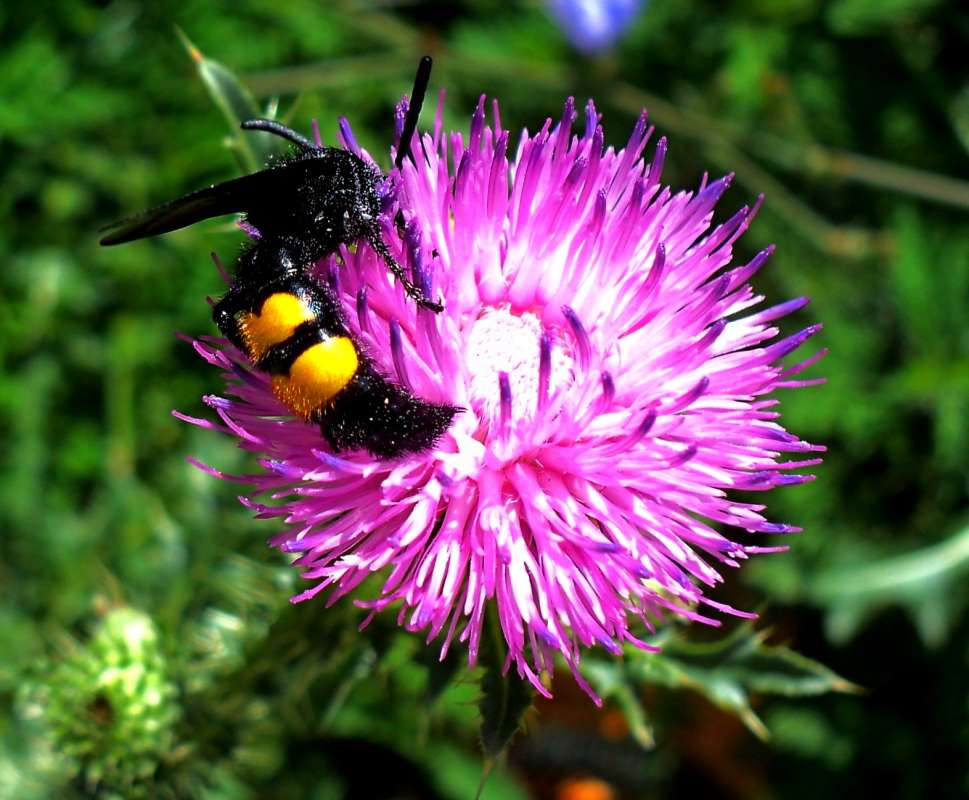 �� ������ ����� ����� ������� �� PhotoGeek.ru #�����