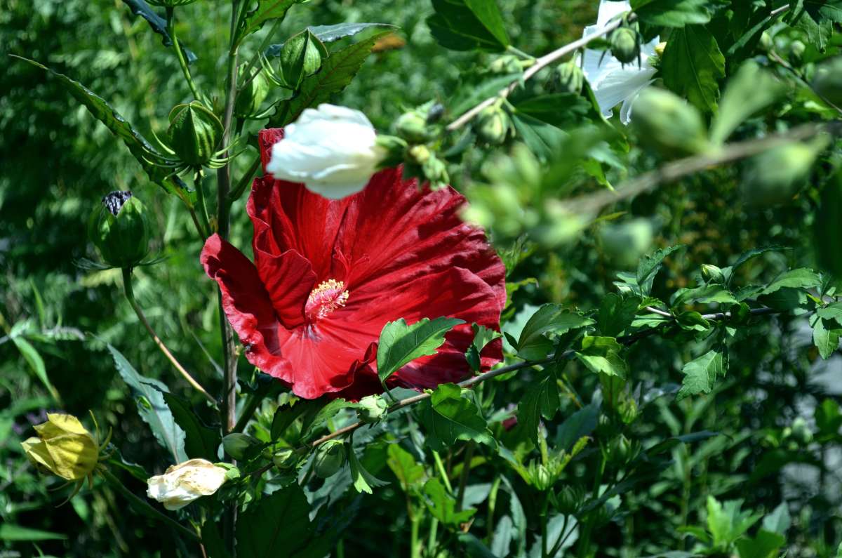 ������� ������� ����� ����� ������� �� PhotoGeek.ru #������ ��� �������