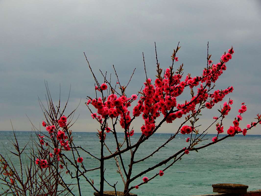 �� �� ������� ���� ����� ����� ������� �� PhotoGeek.ru #������ ��� �������