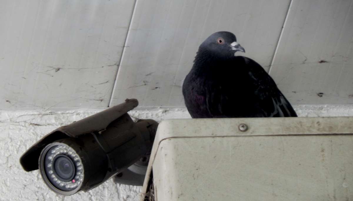 �������������� ����� ����� ������� �� PhotoGeek.ru #�������� ����������