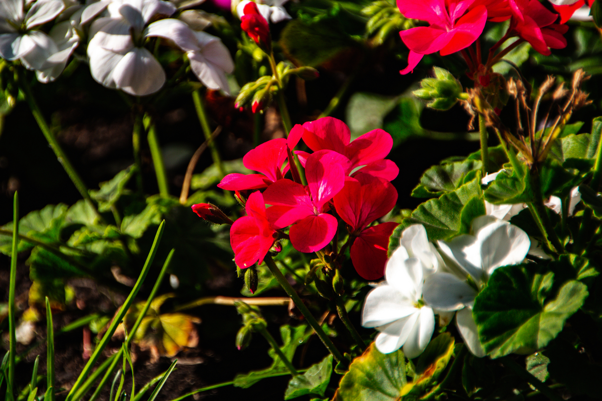 ����� ����� Gek �������� �� PhotoGeek.ru #������ ��� �������