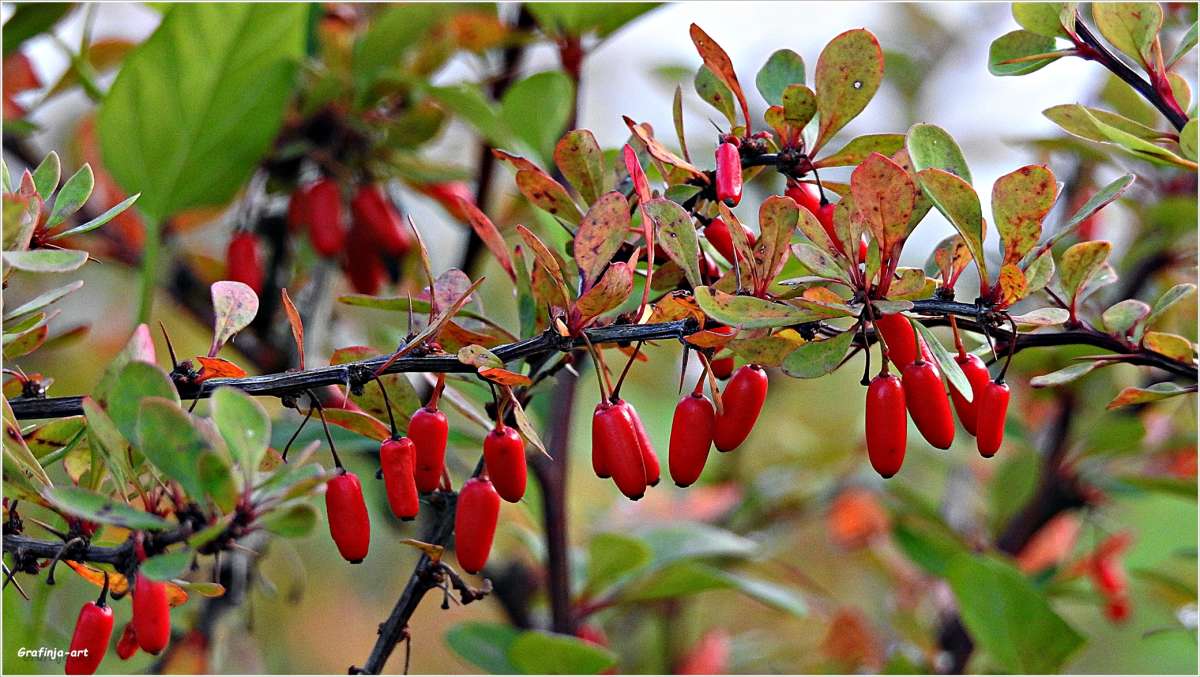 ������������ ��������� � ������� ���� ����� ������ ��� �� PhotoGeek.ru #������ ��� �������