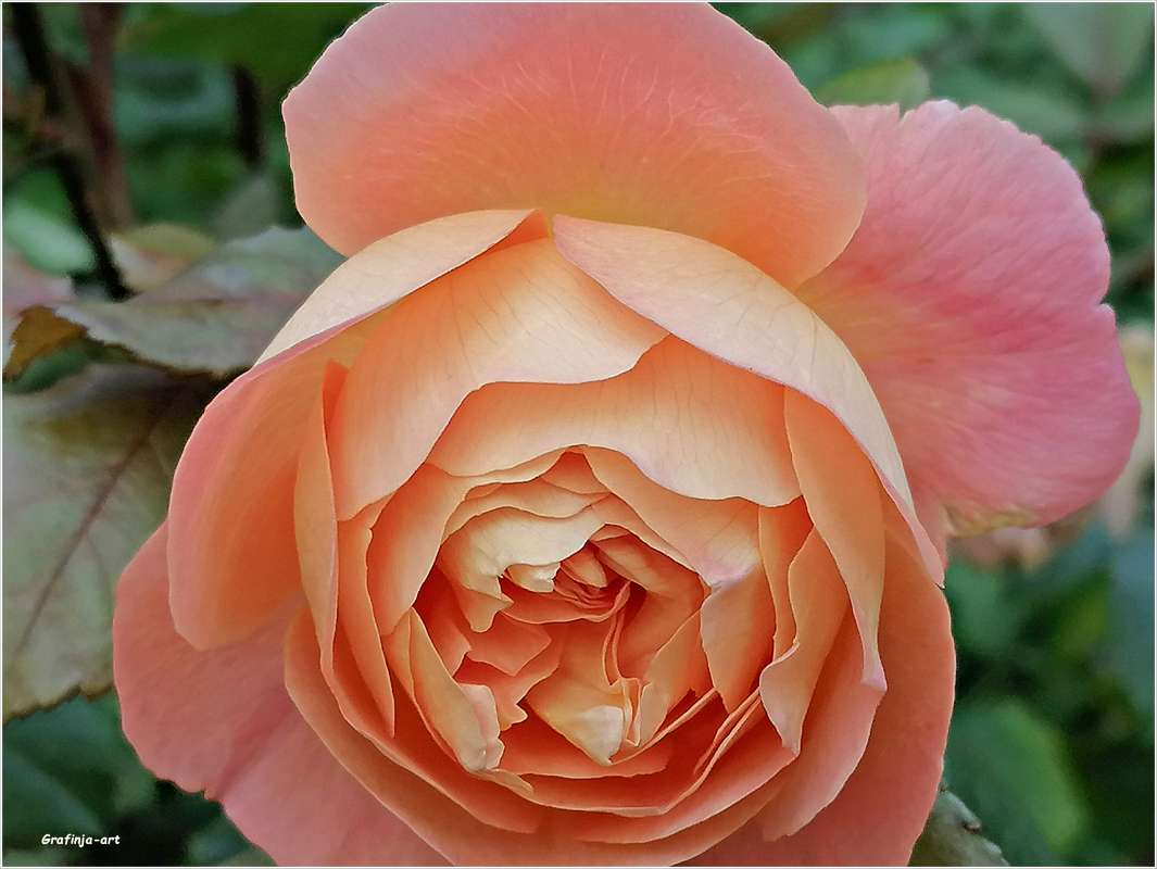 ���� � ������ ���� ����� ������ ��� �� PhotoGeek.ru #������ ��� �������