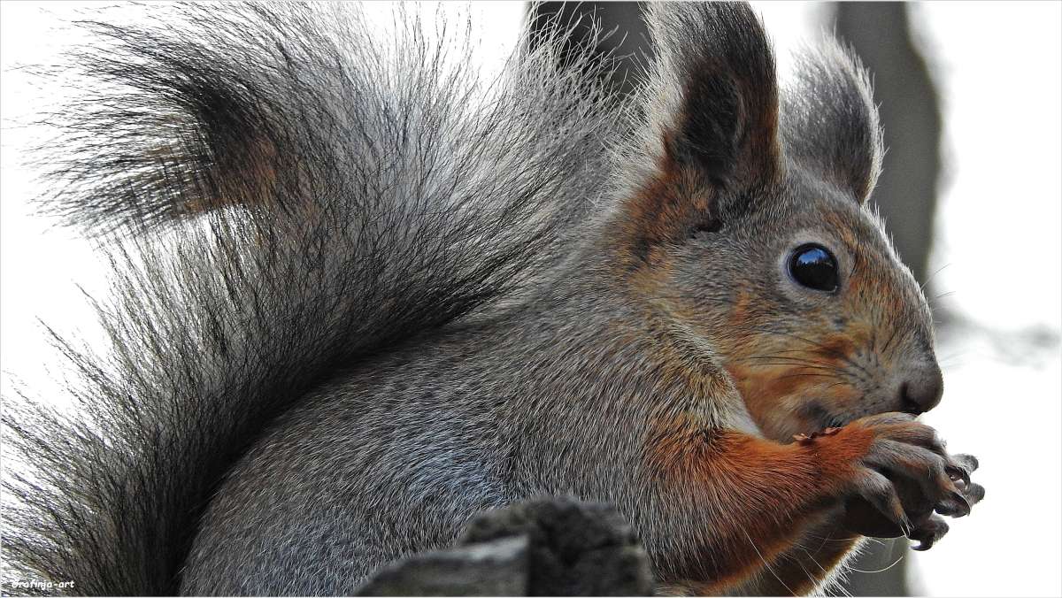 ����� ������...���� �� ����������... ����� ������ ��� �� PhotoGeek.ru #�������� ���