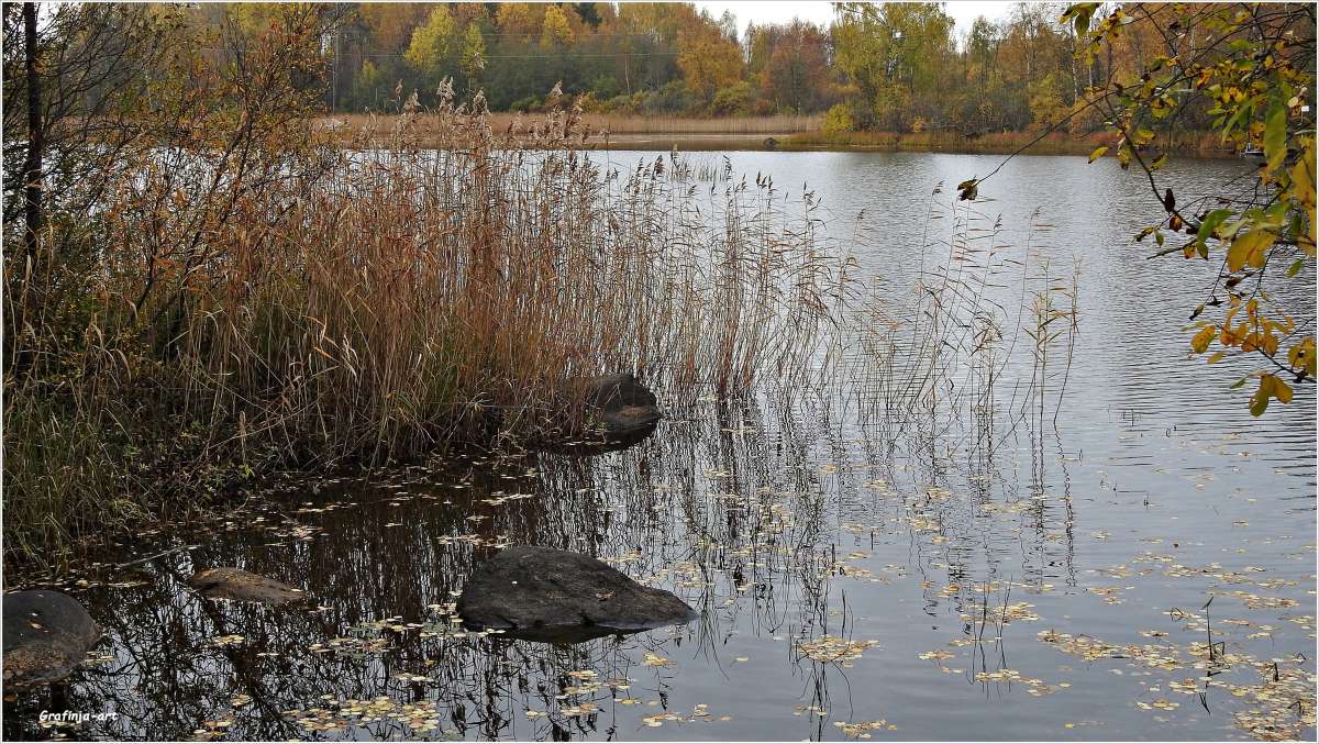 ���������� ��������... ����� ������ ��� �� PhotoGeek.ru #������ ��� �������